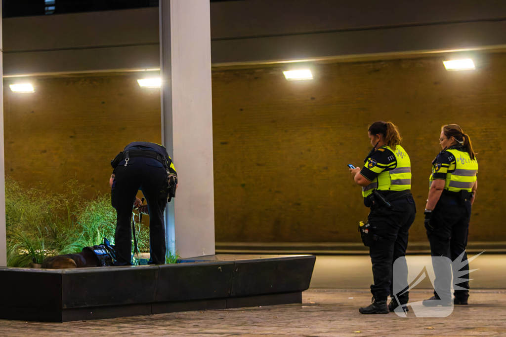 Vier aanhoudingen na vechtpartij