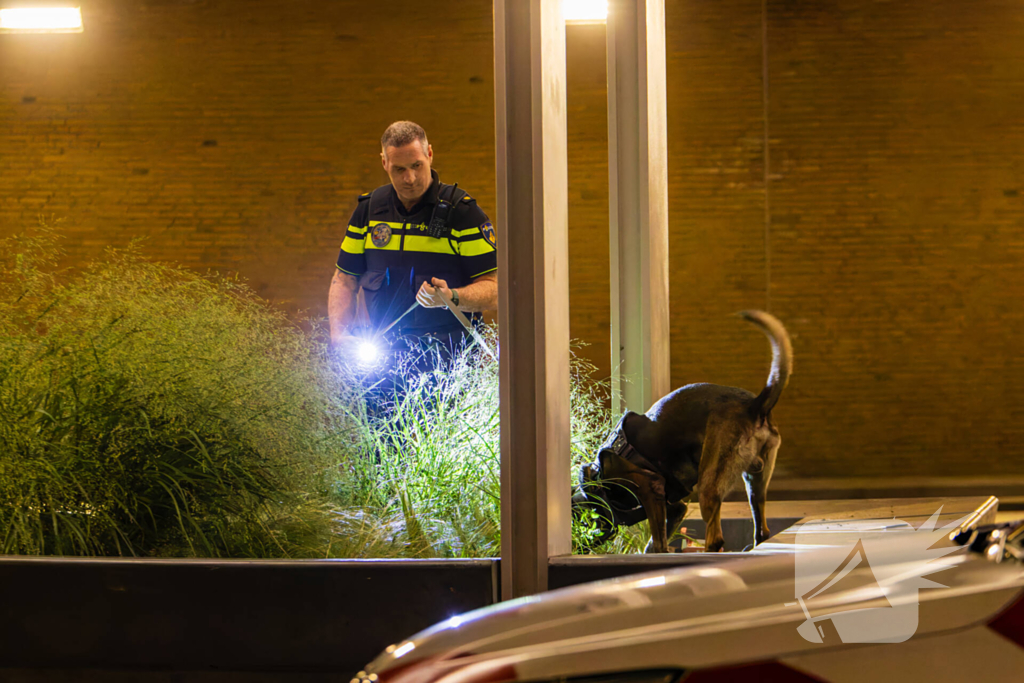 Vier aanhoudingen na vechtpartij