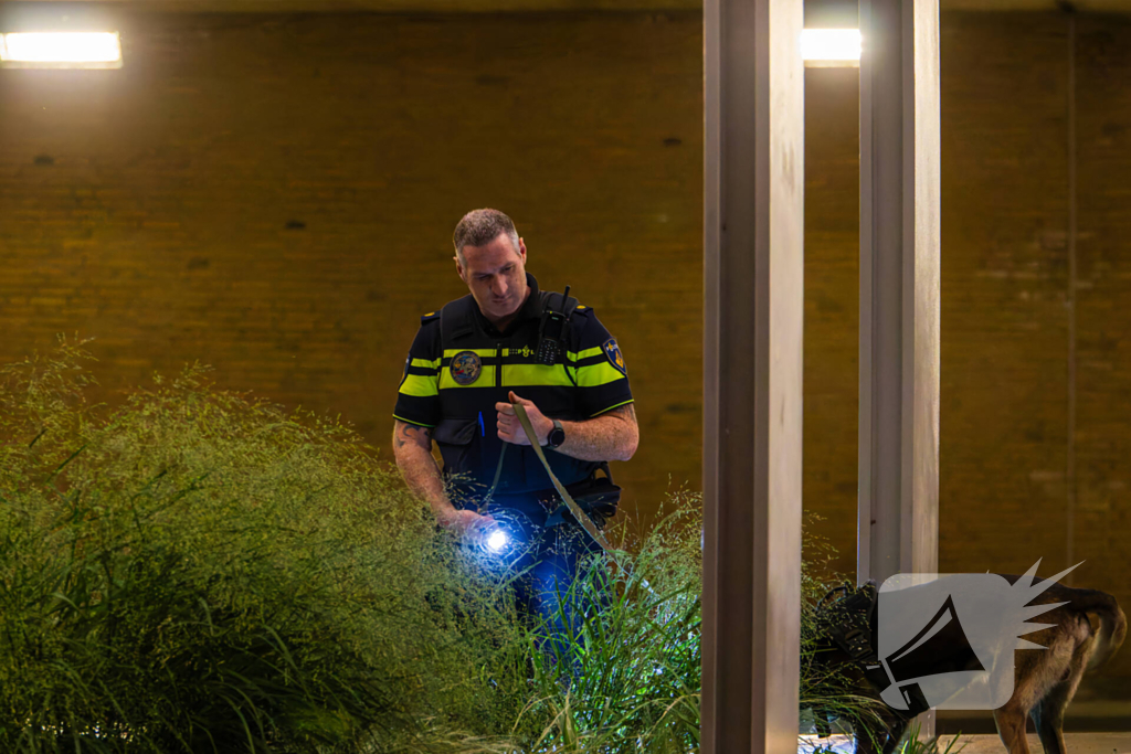 Vier aanhoudingen na vechtpartij