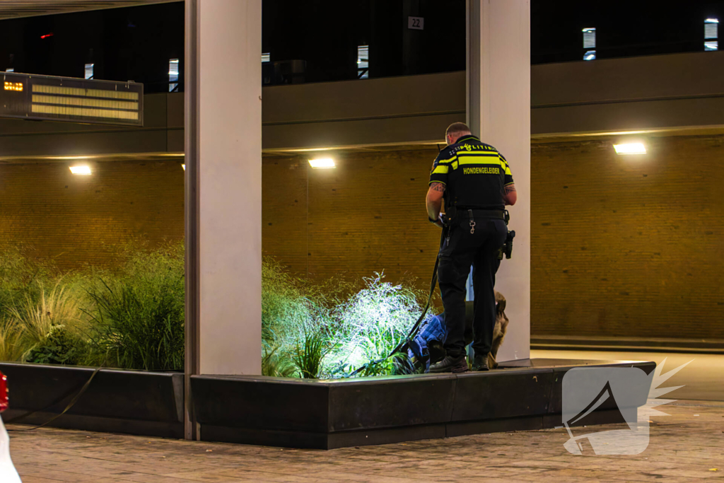 Vier aanhoudingen na vechtpartij