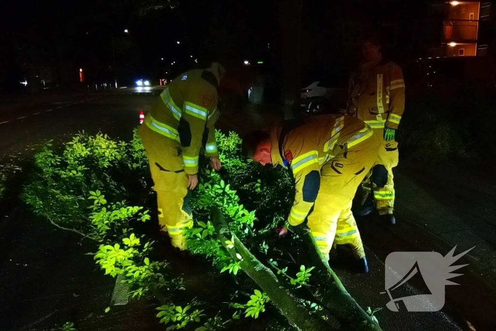 Brandweer verwijdert afgebroken boomtak