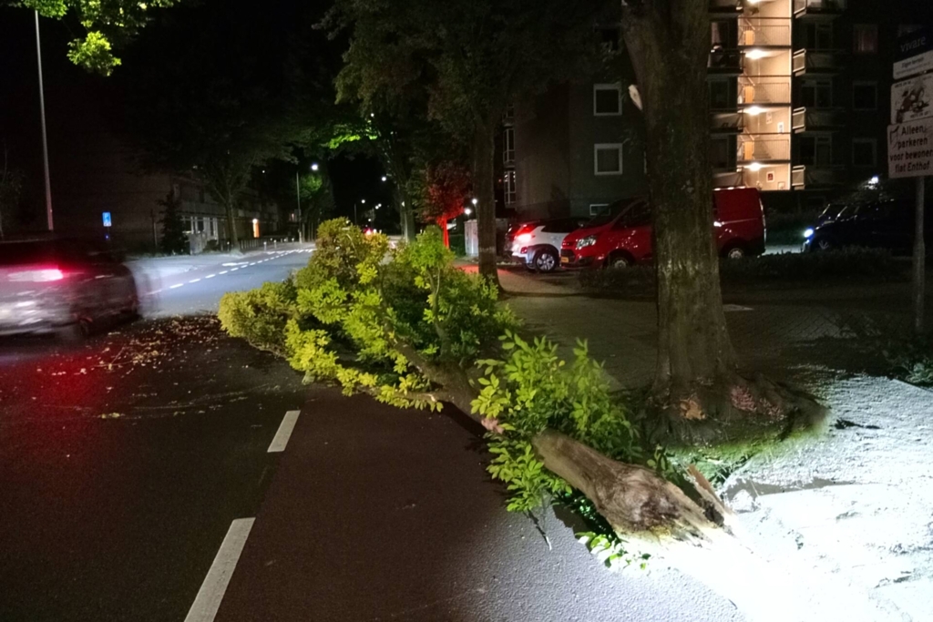 Brandweer verwijdert afgebroken boomtak