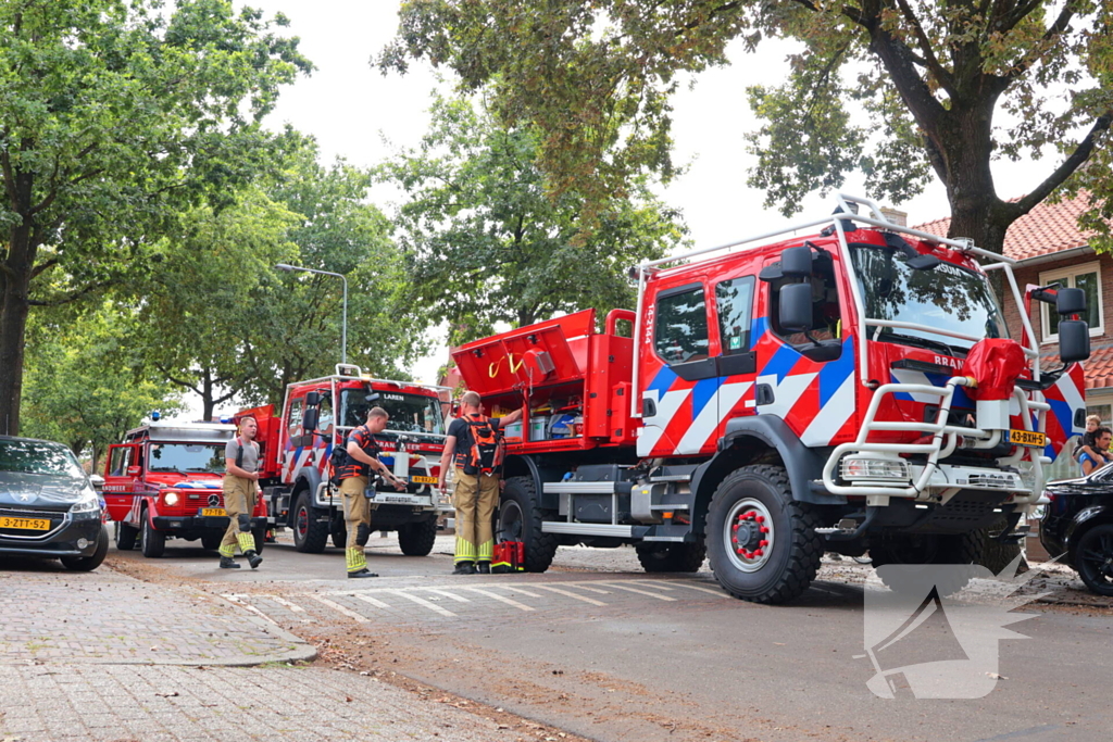 Bosbrand snel onder controle