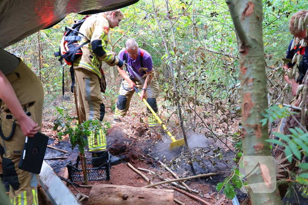 Bosbrand snel onder controle