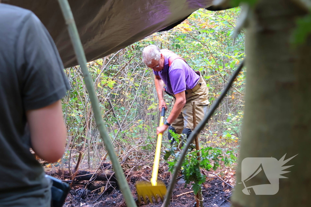 Bosbrand snel onder controle