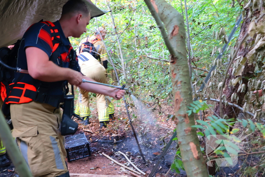 Bosbrand snel onder controle