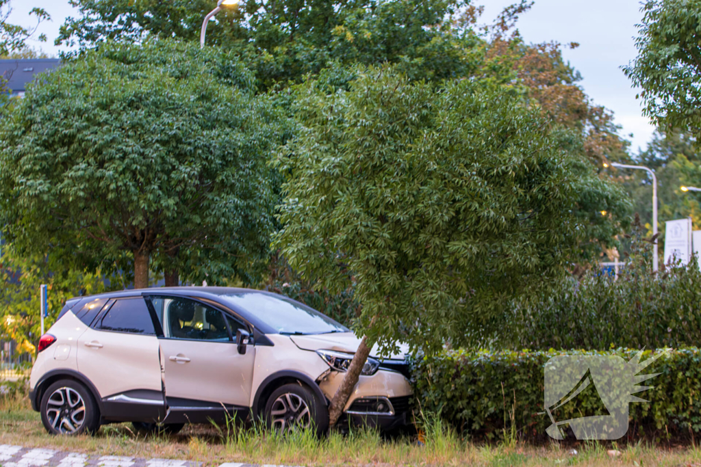 Automobilist belandt op rotonde en klapt op boom