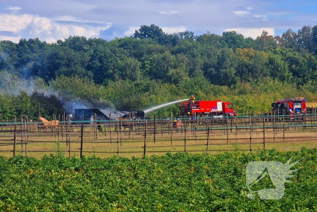 Paardenstal in vlammen, geen gewonden