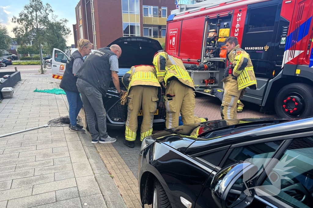 Kat vast in auto, brandweer schiet te hulp