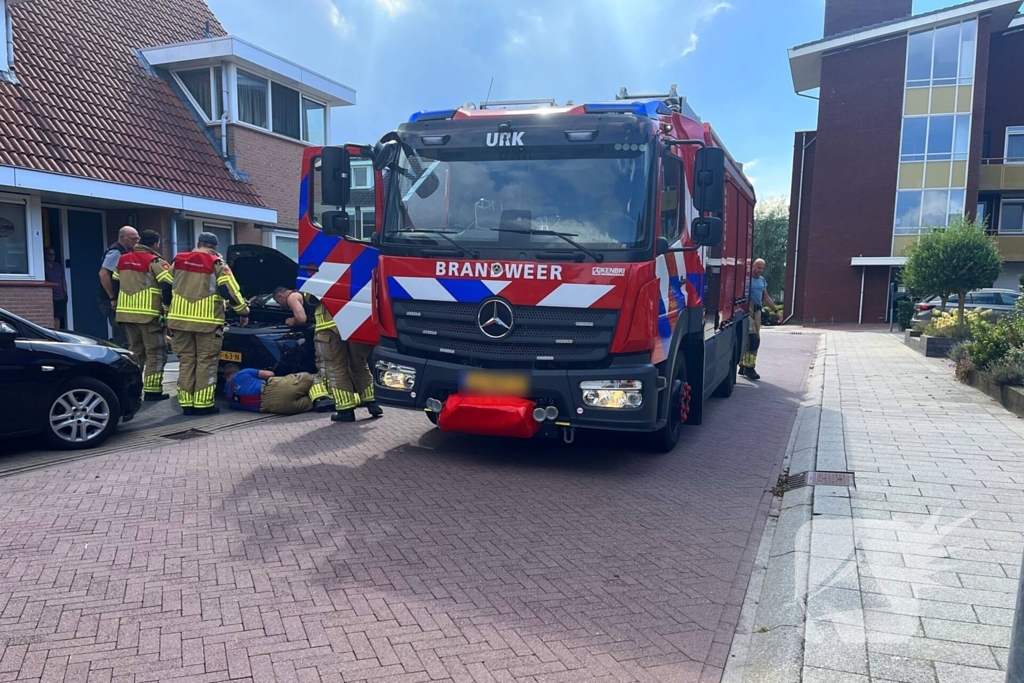 Kat vast in auto, brandweer schiet te hulp
