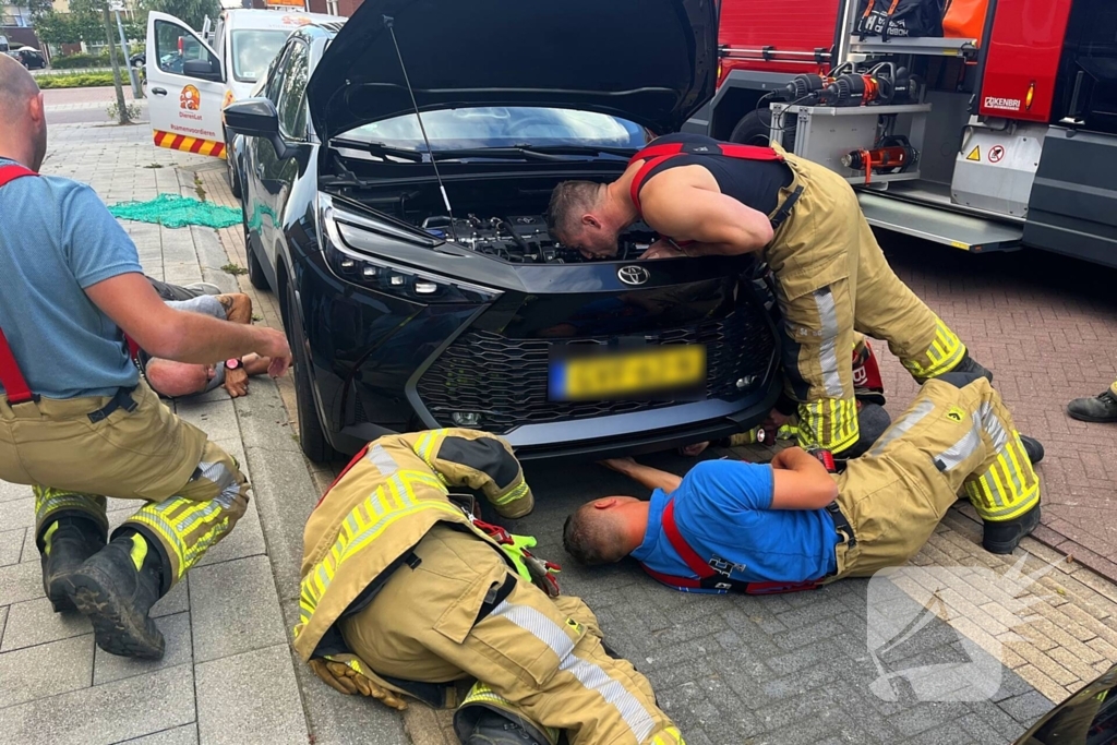 Kat vast in auto, brandweer schiet te hulp