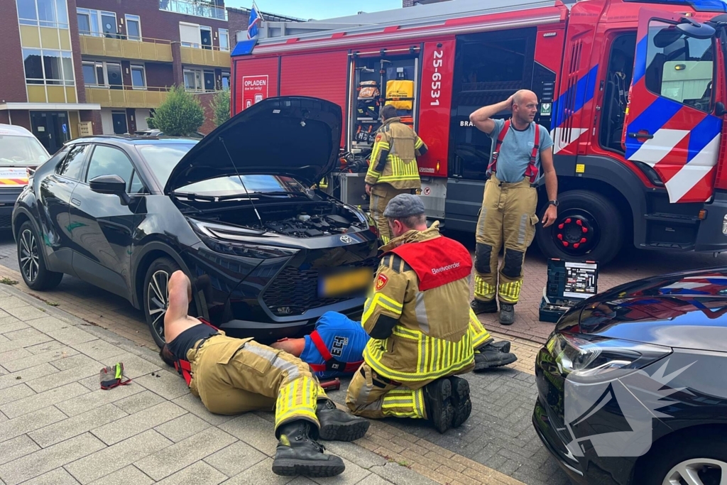 Kat vast in auto, brandweer schiet te hulp