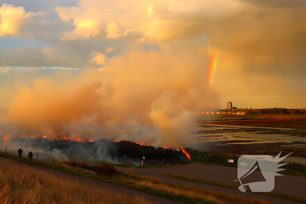 Bermbrand zet natuurgebied in vuur