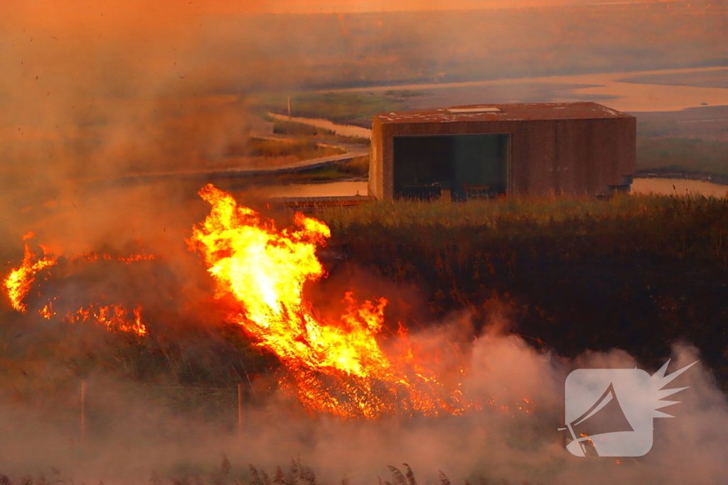 Bermbrand zet natuurgebied in vuur