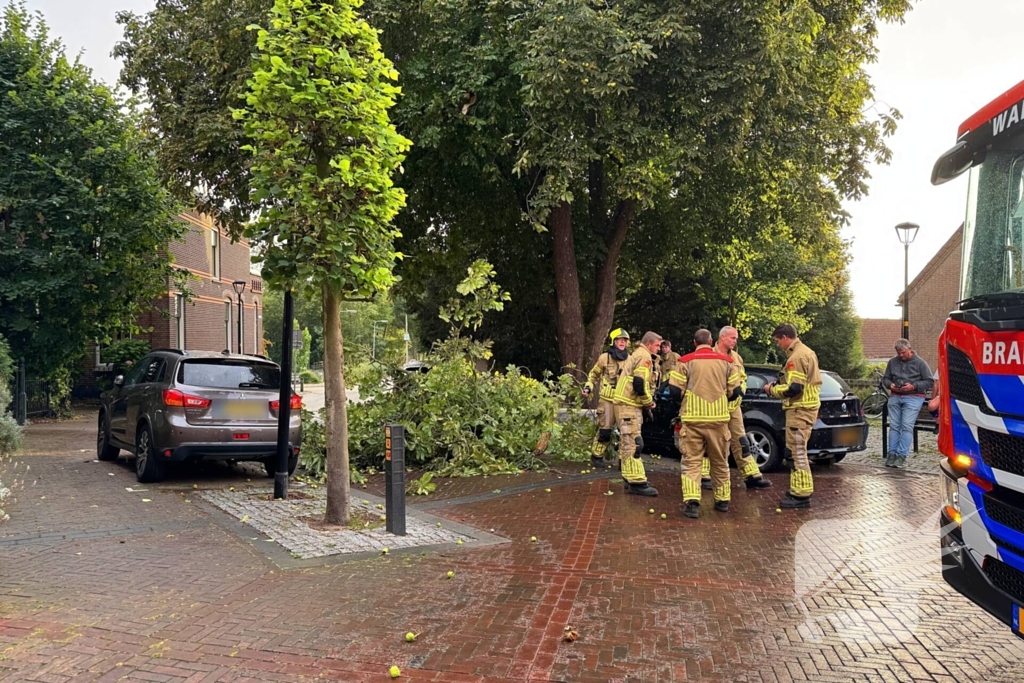 Brandweer verwijdert gebroken tak