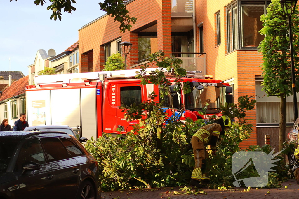 Brandweer verwijdert gebroken tak