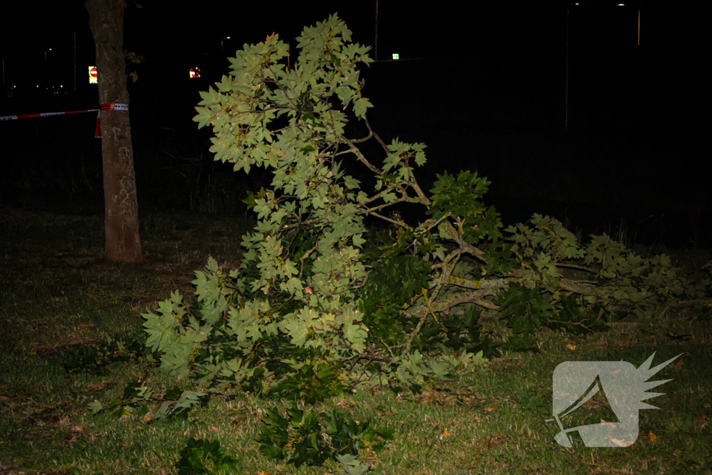 Brandweer zaagt takken van schuinstaande boom af