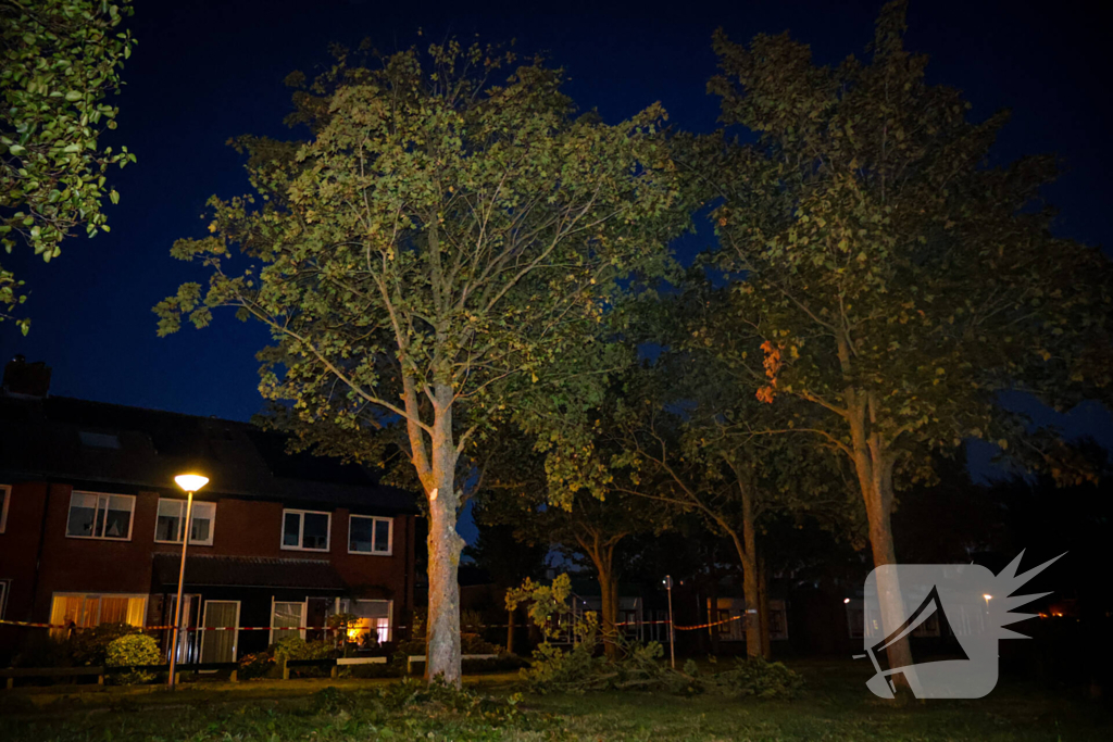 Brandweer zaagt takken van schuinstaande boom af