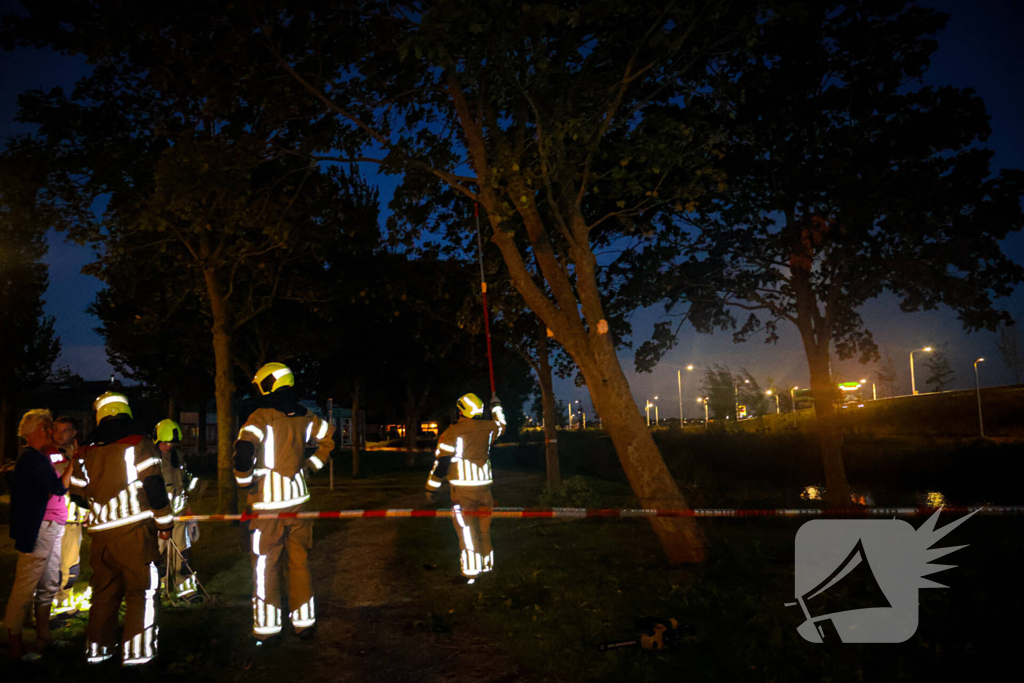Brandweer zaagt takken van schuinstaande boom af