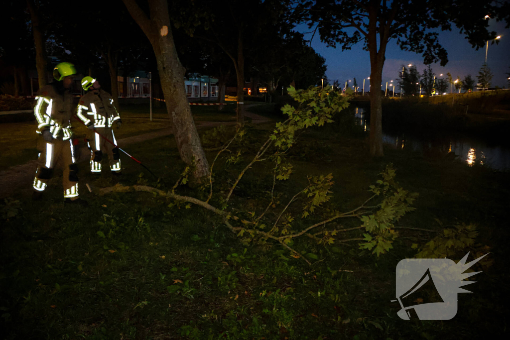 Brandweer zaagt takken van schuinstaande boom af