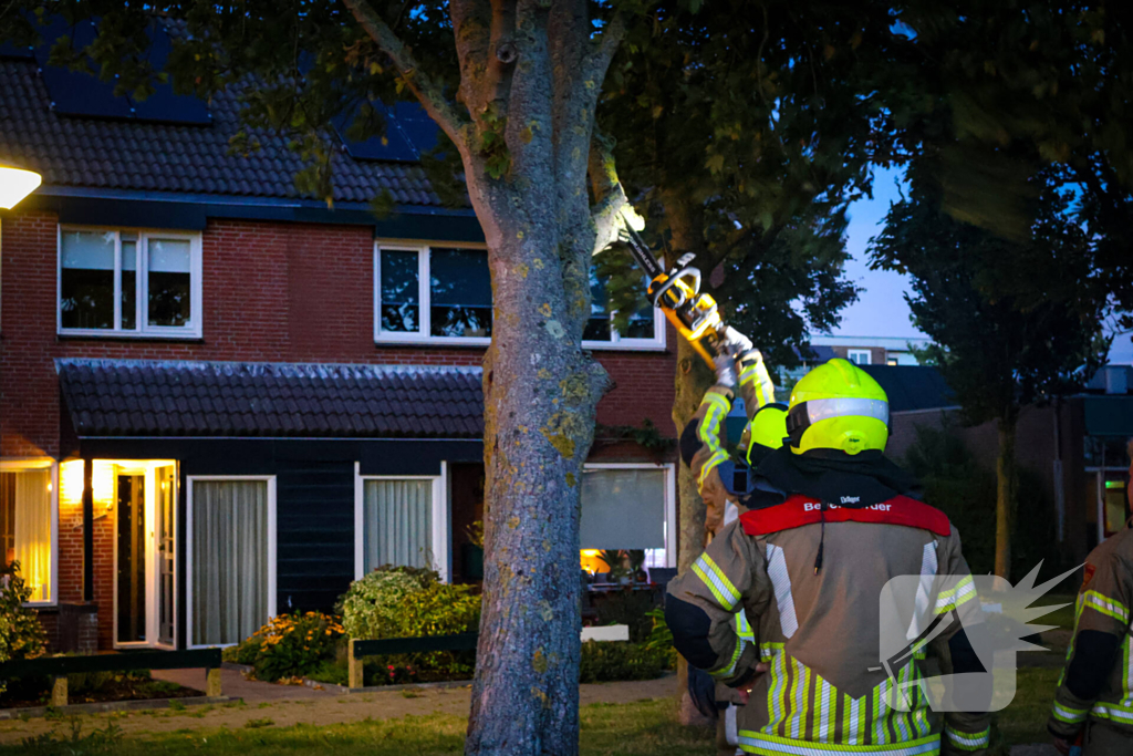 Brandweer zaagt takken van schuinstaande boom af