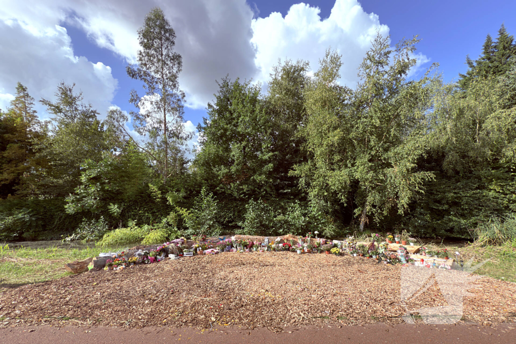 Monument ter nagedachtenis aan Lisa