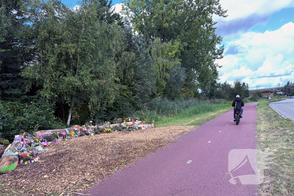 Monument ter nagedachtenis aan Lisa