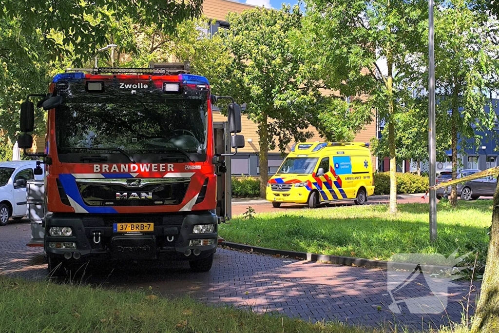 Gewonde door vallende tak