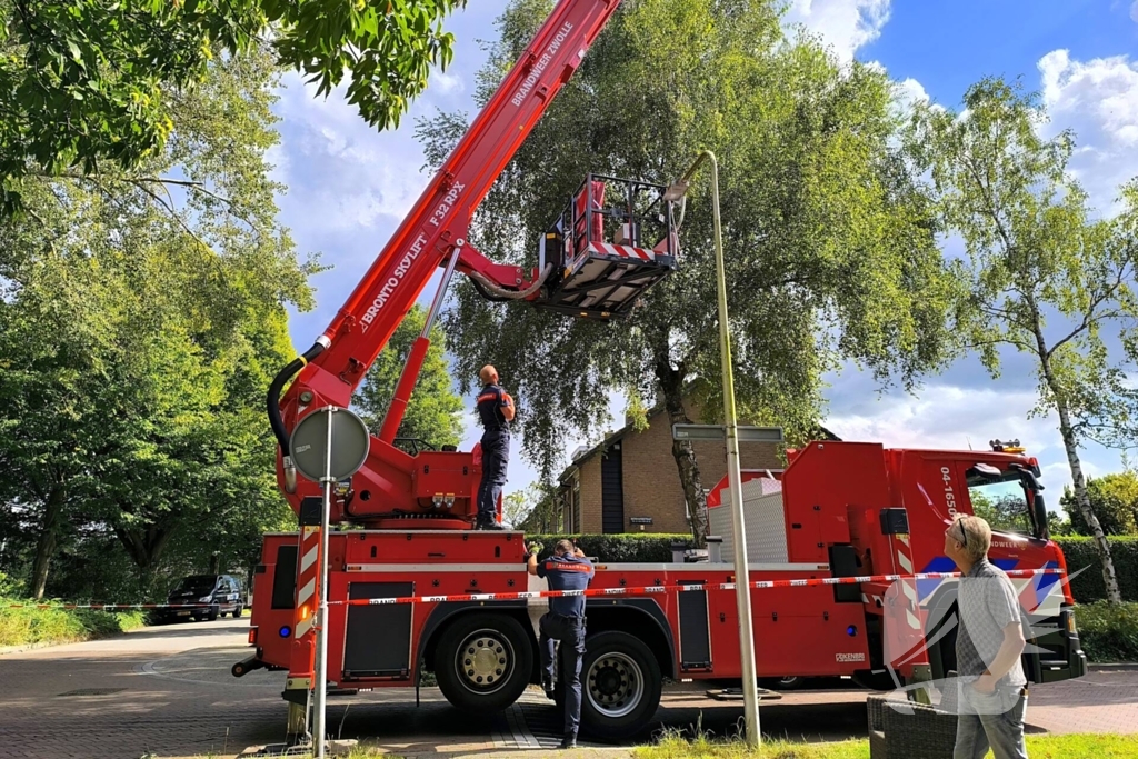 Gewonde door vallende tak