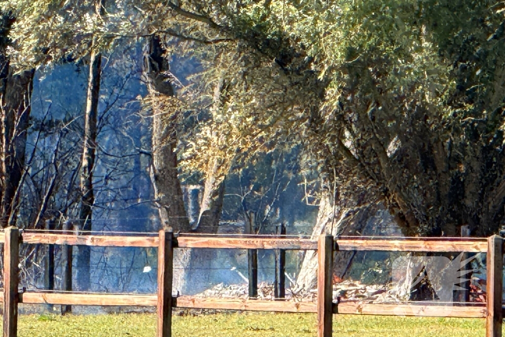 Brandweer blust vlammenzee direct