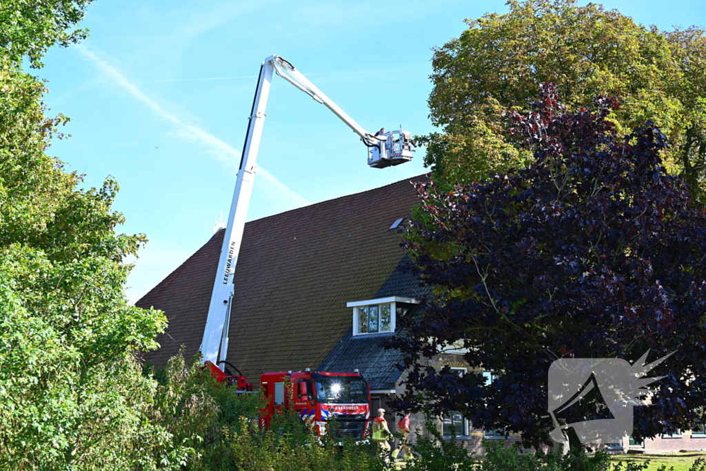 Brandweer inzet voor kitten niet nodig