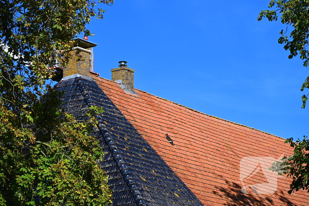 Brandweer inzet voor kitten niet nodig