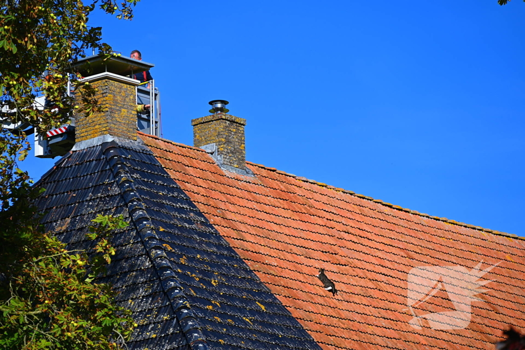 Brandweer inzet voor kitten niet nodig