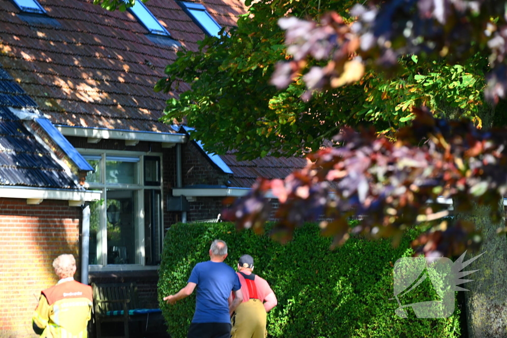 Brandweer inzet voor kitten niet nodig