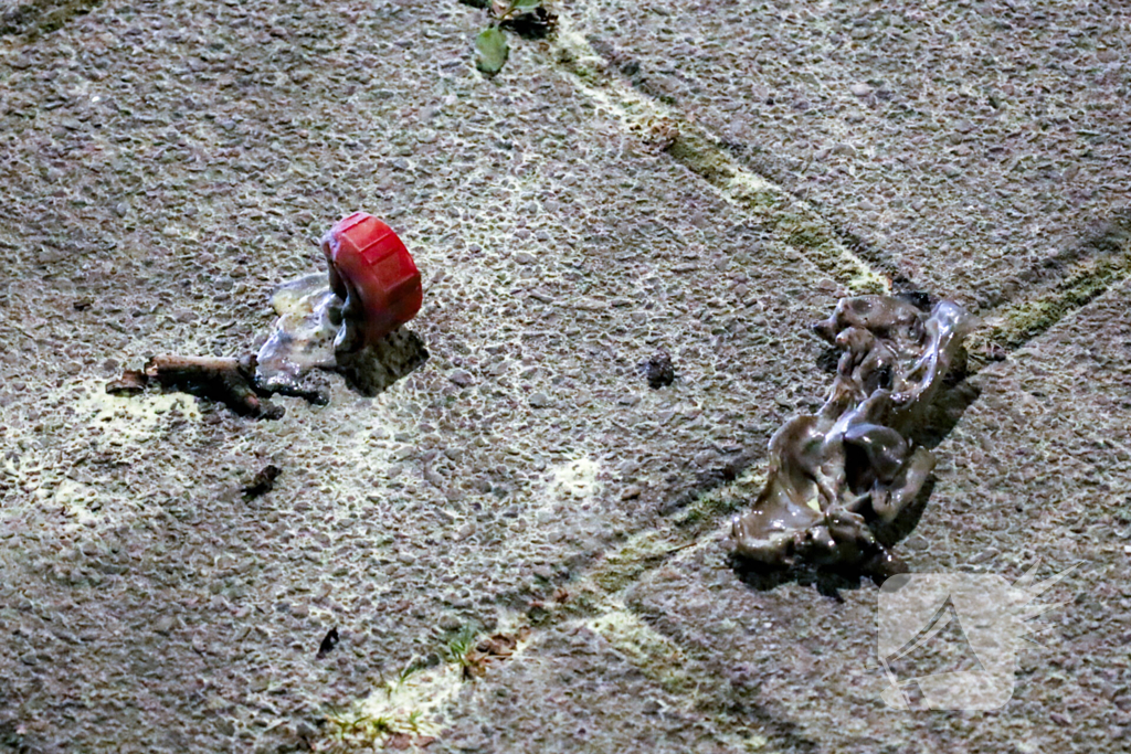 Brand in politieauto snel geblust