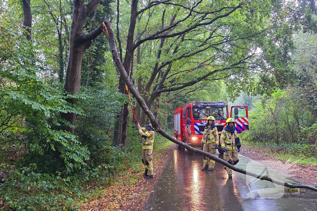 Brandweer verwijdert gevaarlijke tak uit boom
