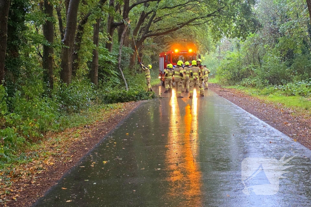 Brandweer verwijdert gevaarlijke tak uit boom