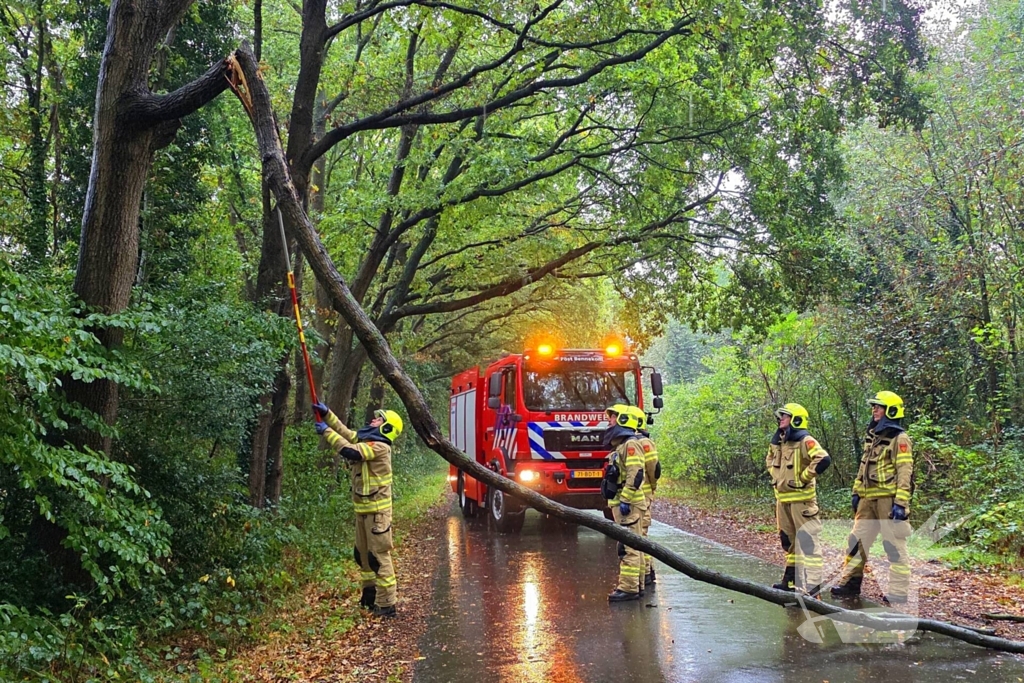 Brandweer verwijdert gevaarlijke tak uit boom