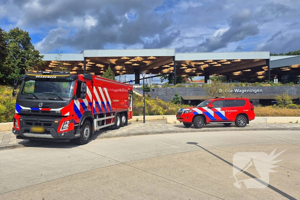 Rookontwikkeling in trein