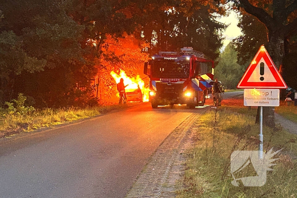 Auto klapt tegen boom en vliegt in brand