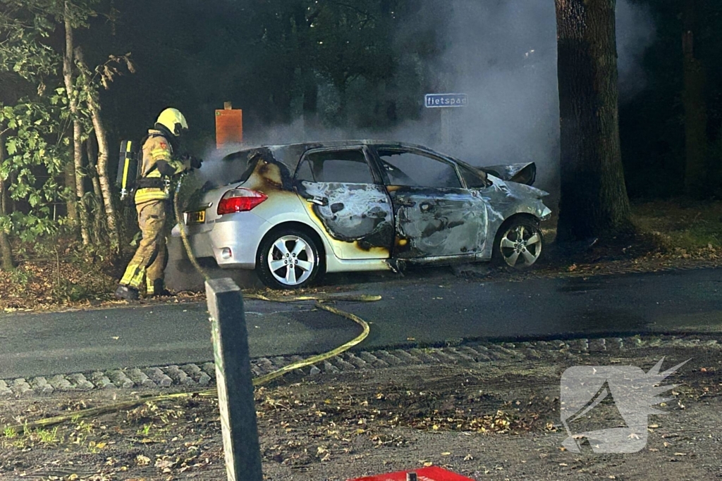 Auto klapt tegen boom en vliegt in brand