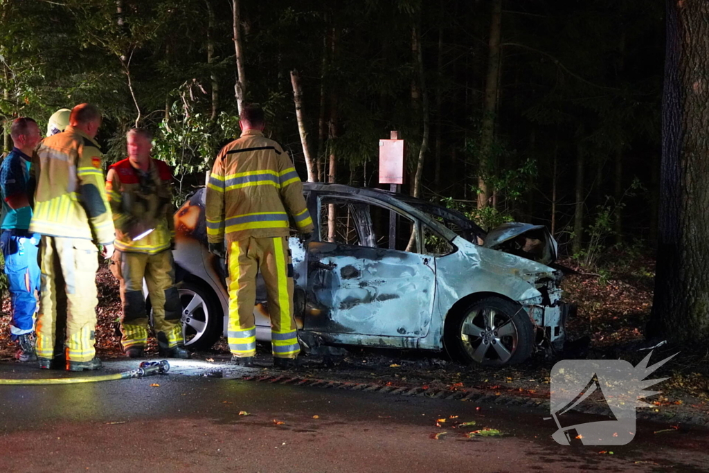 Auto klapt tegen boom en vliegt in brand