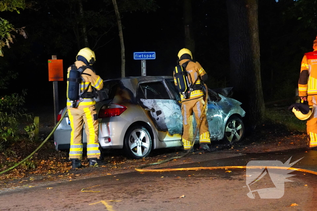 Auto klapt tegen boom en vliegt in brand