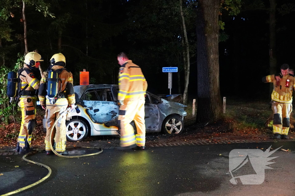 Auto klapt tegen boom en vliegt in brand