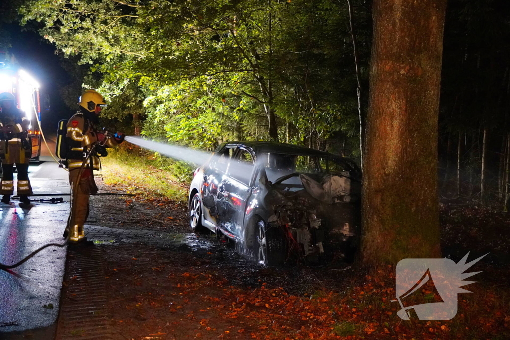 Auto klapt tegen boom en vliegt in brand