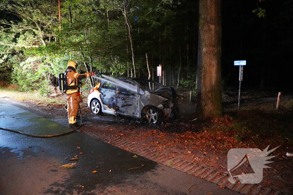 Auto klapt tegen boom en vliegt in brand