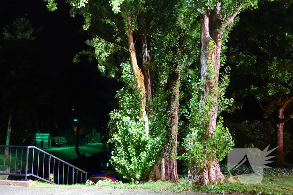 Boom getroffen door blikseminslag