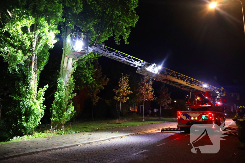 Boom getroffen door blikseminslag