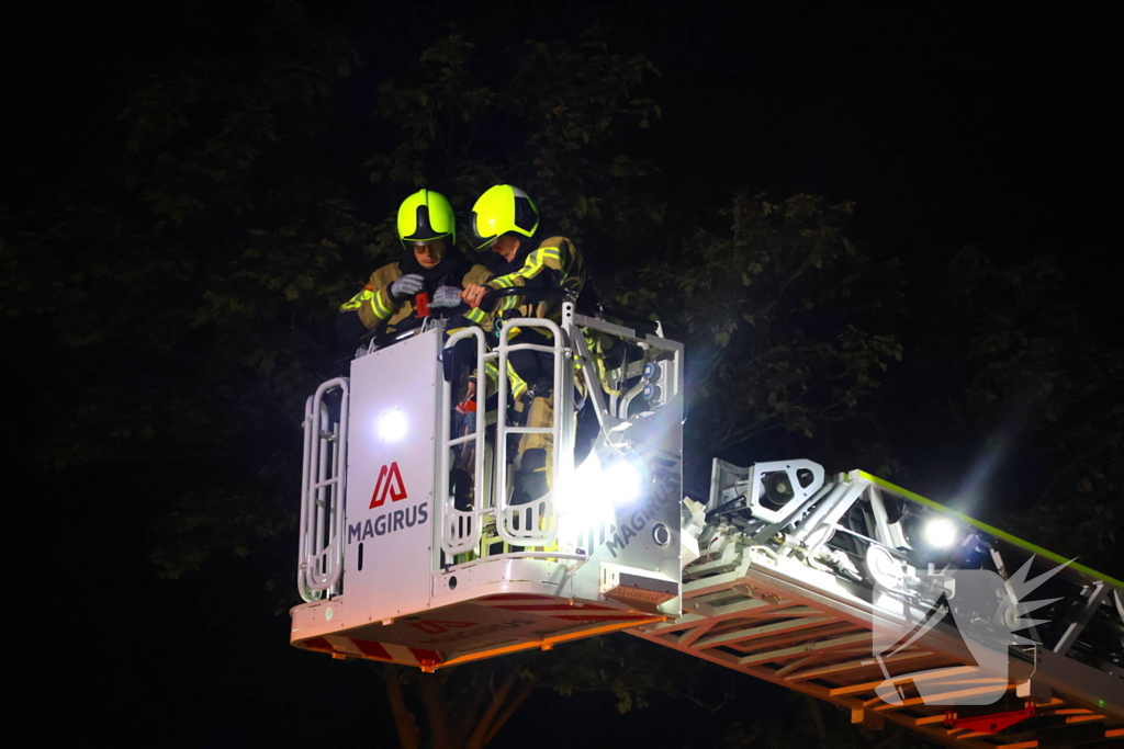 Boom getroffen door blikseminslag