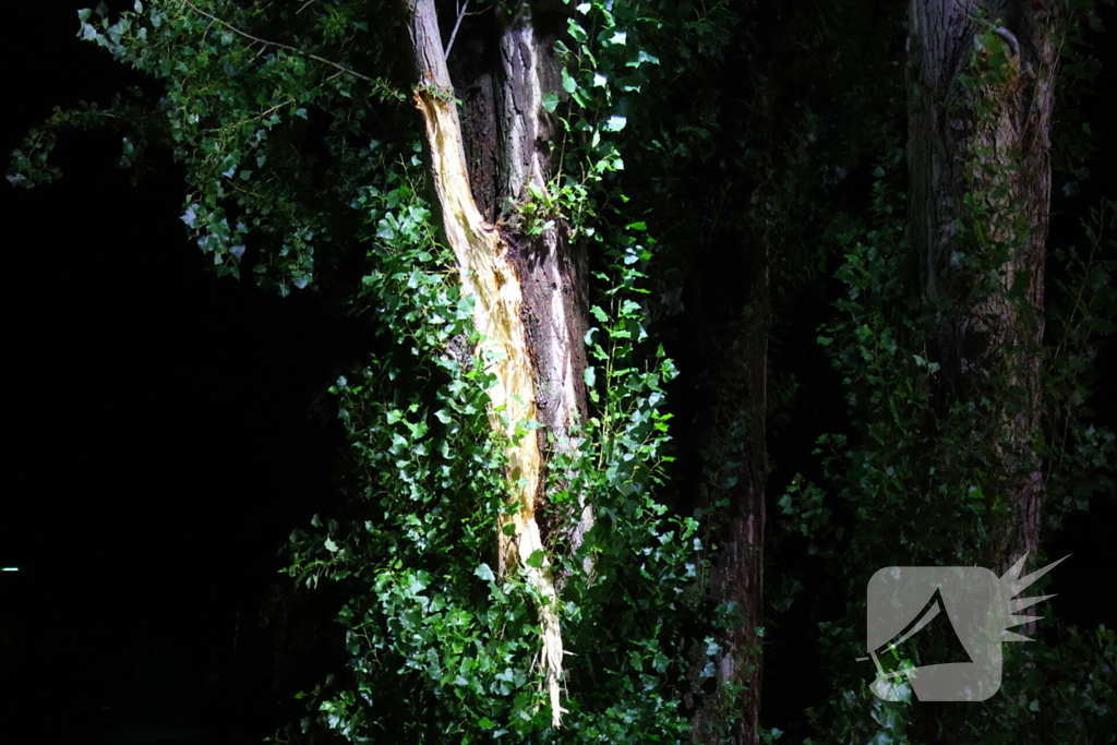 Boom getroffen door blikseminslag